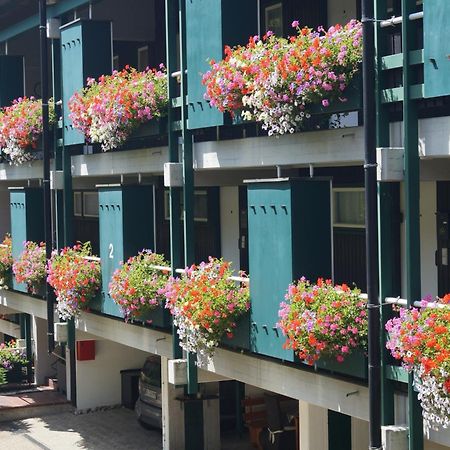 Terrassenpark Apartments Sasbachwalden Exteriör bild