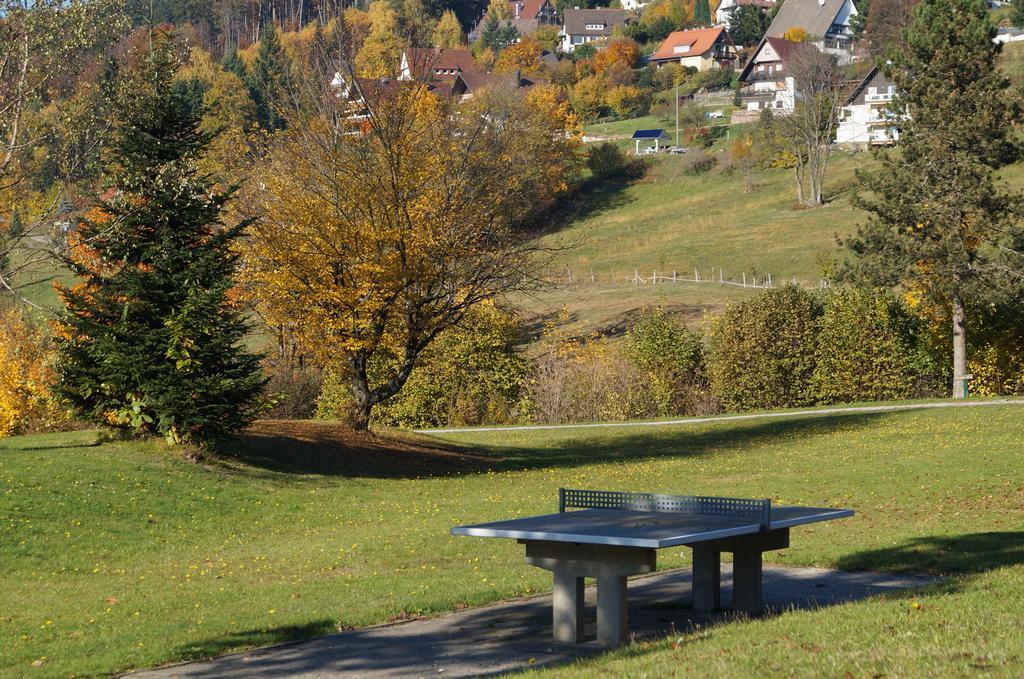 Terrassenpark Apartments Sasbachwalden Exteriör bild