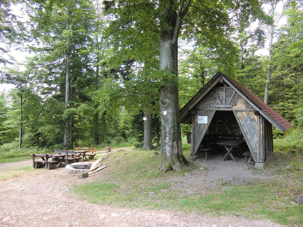 Terrassenpark Apartments Sasbachwalden Rum bild