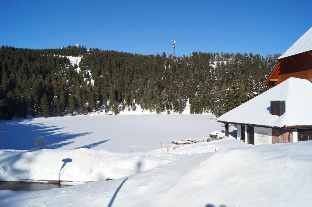 Terrassenpark Apartments Sasbachwalden Rum bild