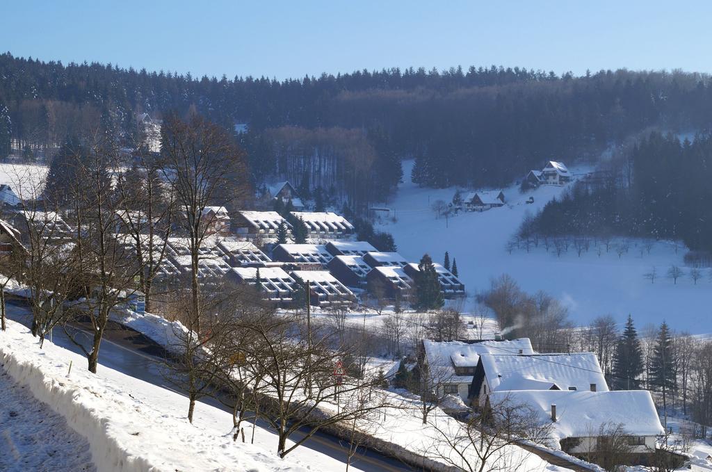 Terrassenpark Apartments Sasbachwalden Rum bild