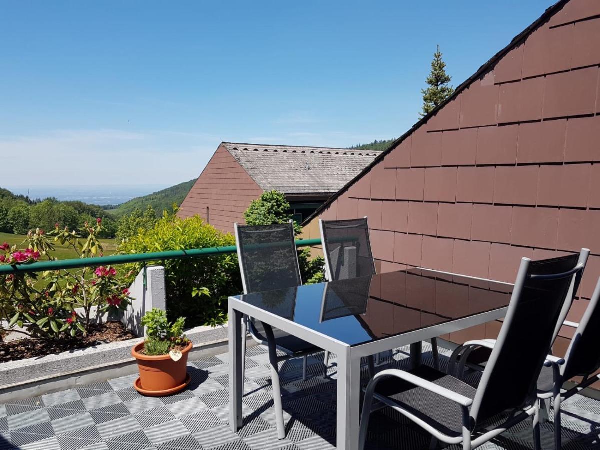 Terrassenpark Apartments Sasbachwalden Rum bild